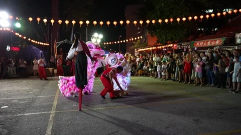 Lion dance performance at Snake Temple, Penang during festive celebration. 스톡 동영상 317307598