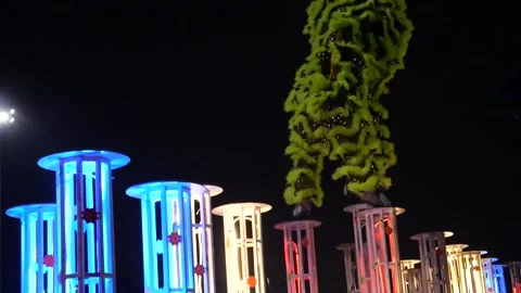 Lion dance performing in Bangkok Stock-Footage 132339933