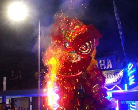 The Lion Dance Stock Photos