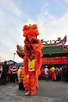 Lion Dance Stockfoto's