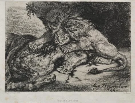 Lion Devouring a Horse, 1844. Eugne Delacroix (French, 1798-1863), Bertauts.. Stock Illustration