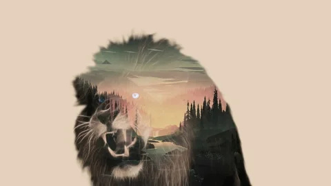 LION double exposure 4K Stock Footage 105345268