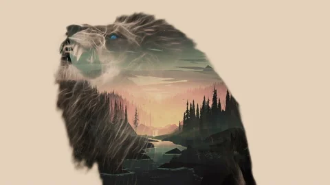 Lion Double Exposure Stock Footage 105345160