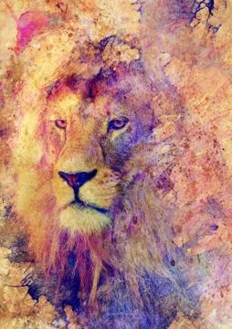 Lion face and graphic effect. Computer collage. Illustrazione stock