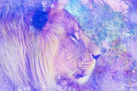 Lion face and graphic effect. Computer collage. Marble effect. Stock-Illustration