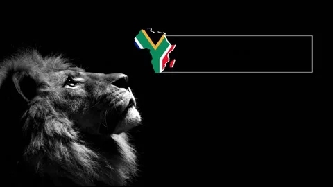 Lion  動画素材 153489554