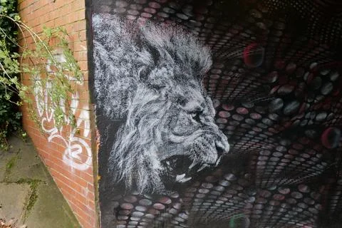 Lion Graffiti Stock Photos