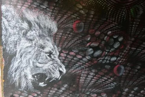 Lion Graffiti Stock Photos