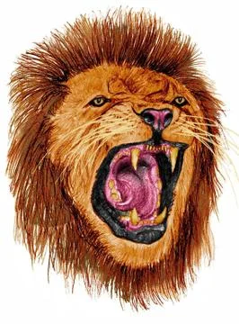Lion growl Illustrazione stock