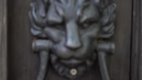 Lion head door handle. Stock Footage 88517856