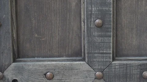Lion head door handle. Stock Footage 89786250