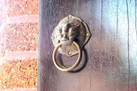 Lion head doorknocker Stock Photos