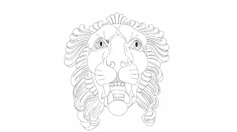 Lion head Stock Footage 10772876