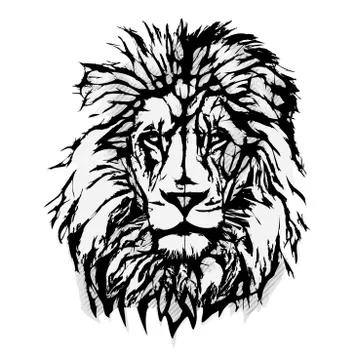 Lion head graphic Stock Illustration