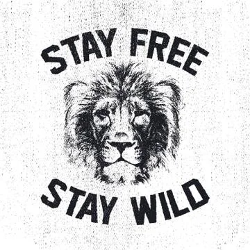 Lion head . Hand drawn. Vector eps8 Stock Illustration