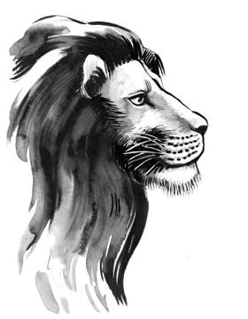 Lion head Stock Illustration