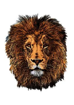 Lion head Stock Illustration