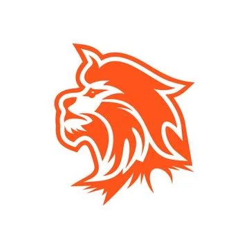Lion head Stock Illustration