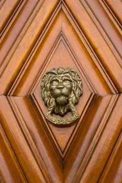 Lion head Stock Photos