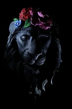 Lion head Fotos de archivo