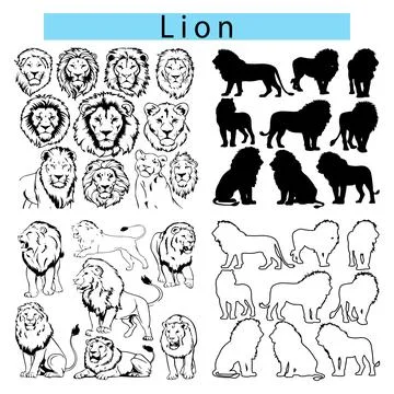 Lion head vector, Lion silhouette vector, Lion outline drawing Stockillustratie