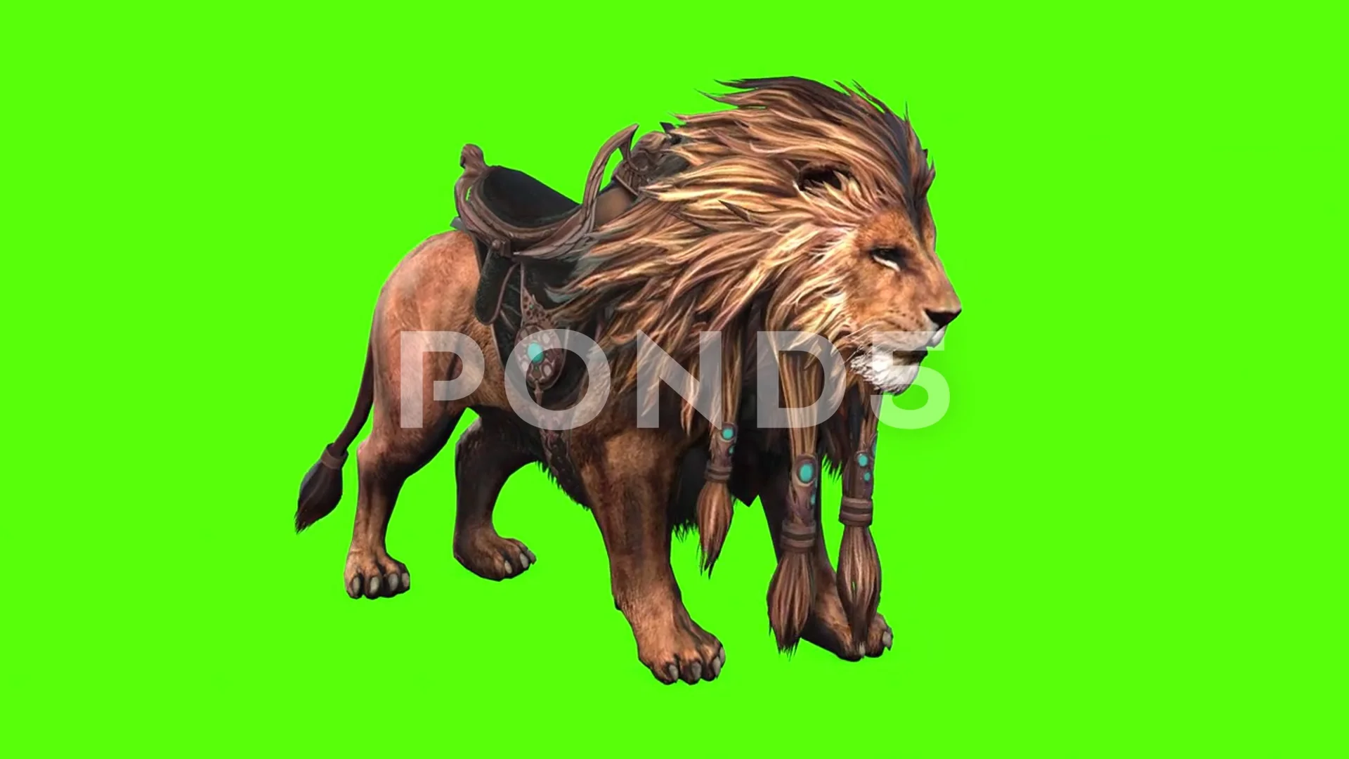 Male Lion  Best Green Screen ( Download Link ) on Make a GIF