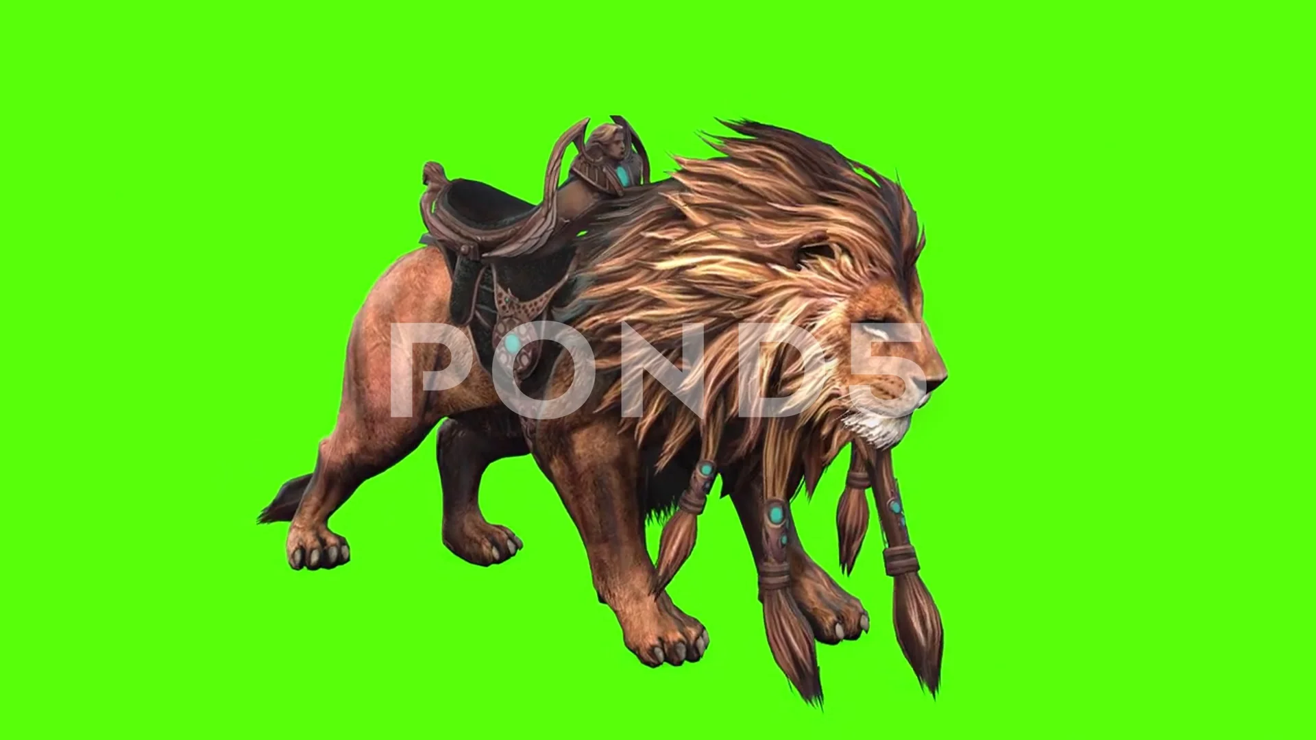 Lion Idle Green Screen | Stock Video | Pond5