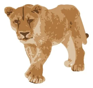 Lion Stock Illustration
