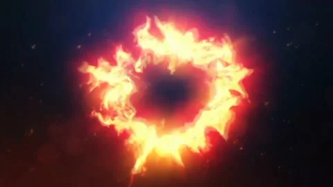 Lion Intro Video stock 198211250