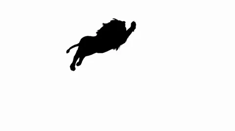 Lion jump to attack bite,Endangered wild animal wildlife sketch silhouette. Stock Footage 38612101