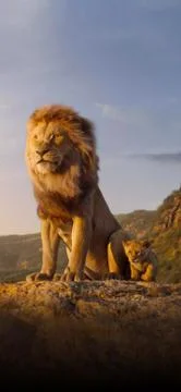 Lion king Stock Photos