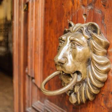 Lion knocker Foto stock