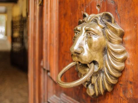 Lion knocker Foto stock
