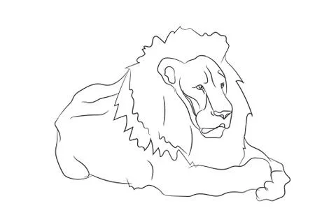 Lion lies, lines, vector, Illustrazione stock