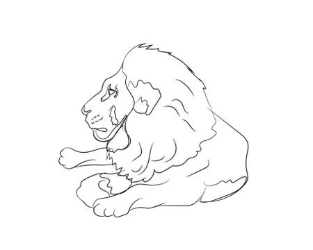 Lion lies, lines, vector, Illustrazione stock