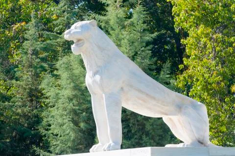 Lion murble statue Stock Photos