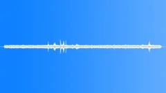 Lion Night Lions MovingSound Effect