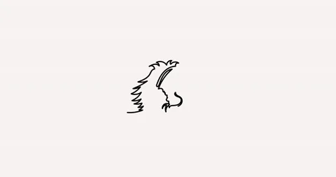 Lion one line Video stock 152789883