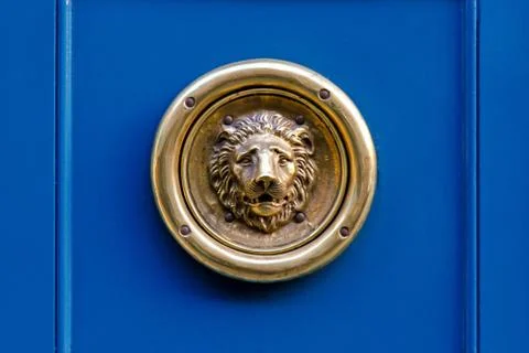 Lion Stock Photos