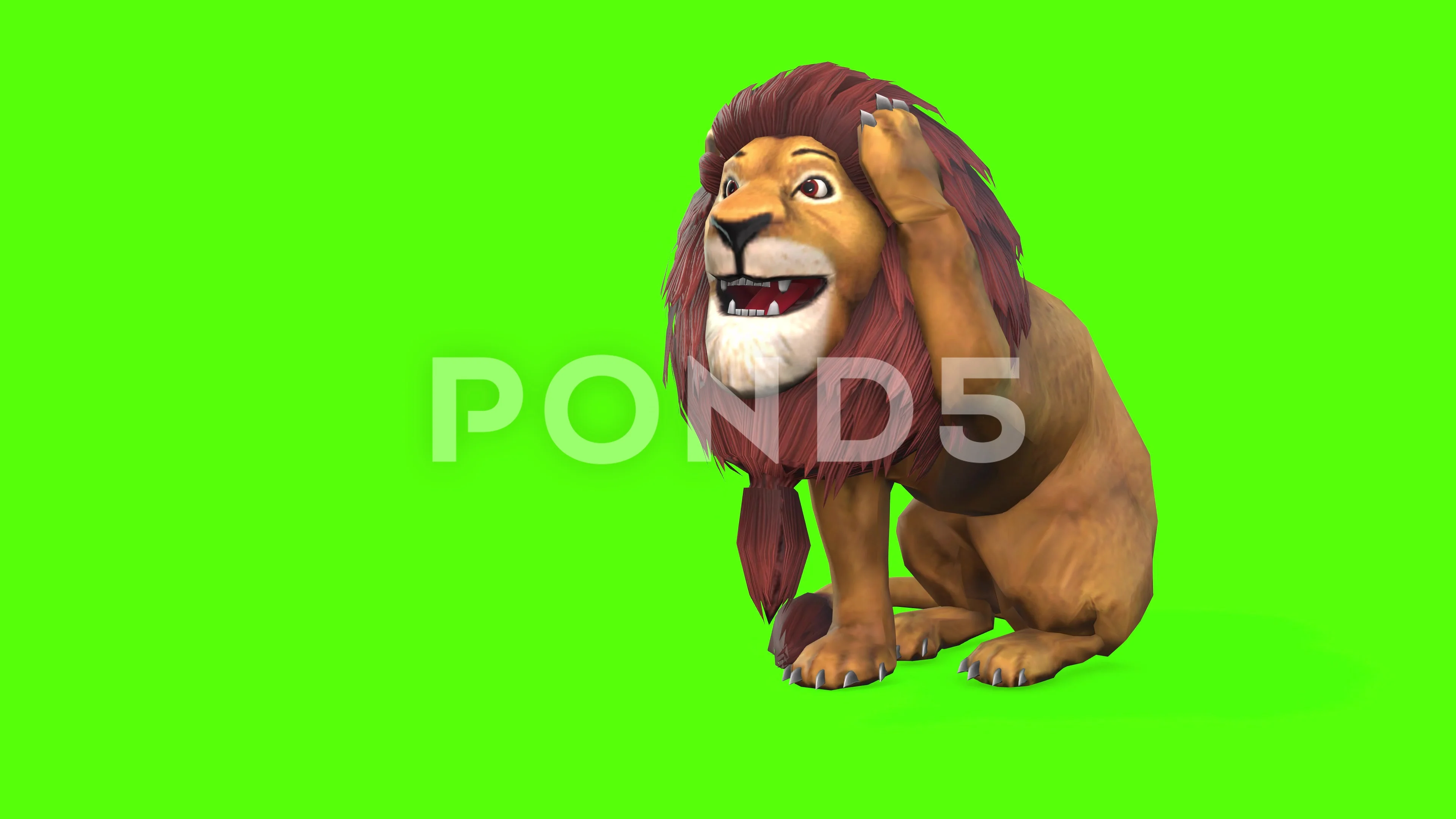 Lion Walking On Green Screen Stock Video Footage | Royalty Free Lion  Walking On Green Screen Videos | Pond5