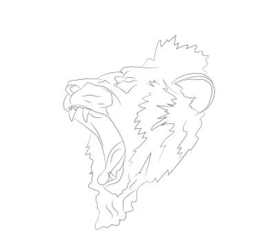 Lion portrait, lines, vector Stock-Illustration
