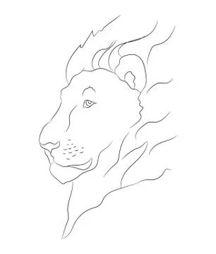 Lion portrait, lines, vector Stock Illustration