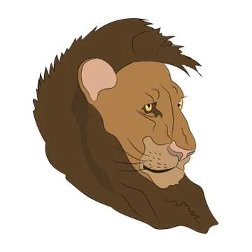 Lion portrait,color drawing vector Stock Illustration