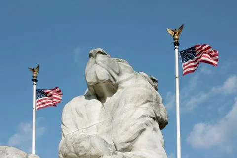 Lion power Foto stock