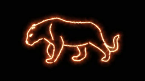 Lion Puma outline of burning flames and puma in neon lights. Compilation Stock Footage 151880252