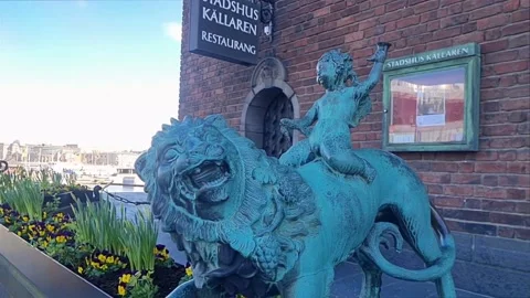 Lion Rider --> 4K Stock Footage 183593523