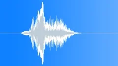 Lion roar 001 Sound Effect