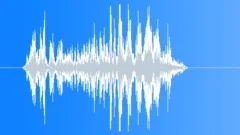 Lion roar 008 Sound Effect