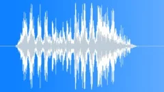 Lion roar 009 Sound Effect