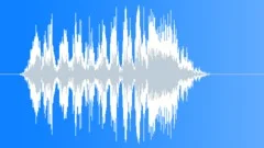 Lion roar 010 Sound Effect